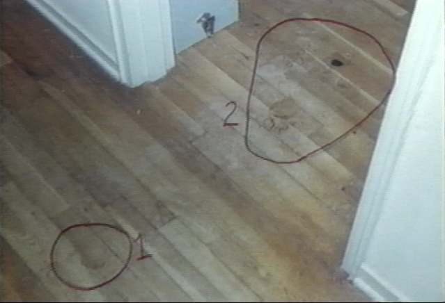 The Jeffrey MacDonald Case: Debunking FrmrCSI's alleged analysis of the bloody footprints: Cropped section from original crime scene JPEG image