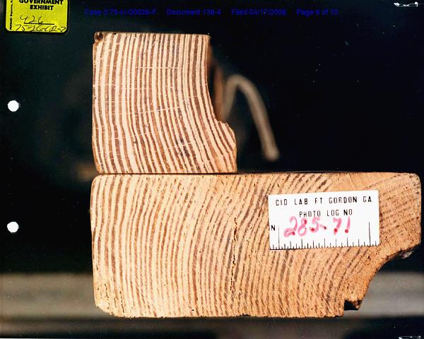 Growth rings of Exhibits A (club) and A12 (board from bed of Kimberley MacDonald)