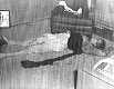 Body of Colette MacDonald in master bedroom