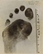 Left footprint of Jeffrey MacDonald