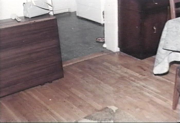 Blood stains on dining room floor (areas circled by investigators barely visible)