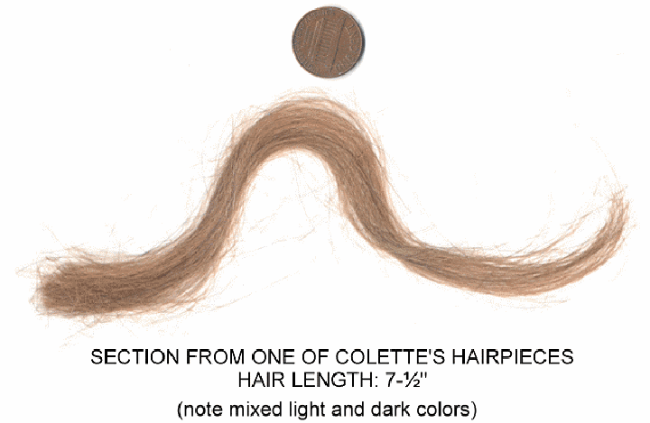 Section from hairpiece of Colette MacDonald<BR><BR>Copyright © 2005 themacdonaldcase.com<BR>Photo of hairpiece provided by Bob Stevenson